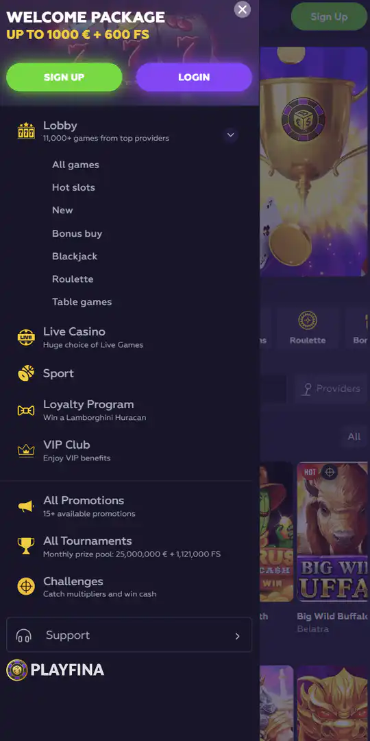 Screenshot of the application Playfina Casino 4