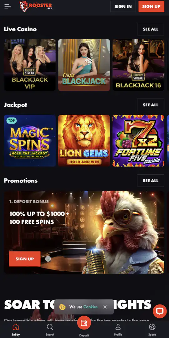 Screenshot of the application Rooster Casino 2